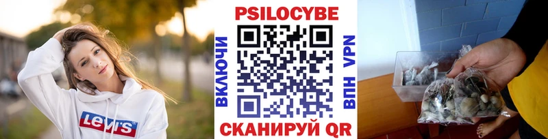 Псилоцибиновые грибы мицелий  Собинка 